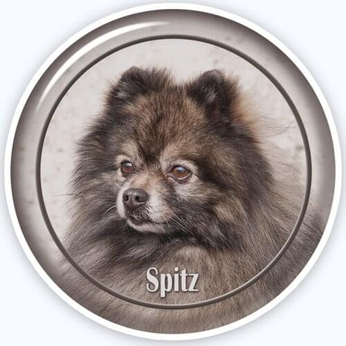 A0686# Various Sizes Removable Decal Spitz-3 88 Sticker Waterproof Accessories on Bumper Rear Window Laptop