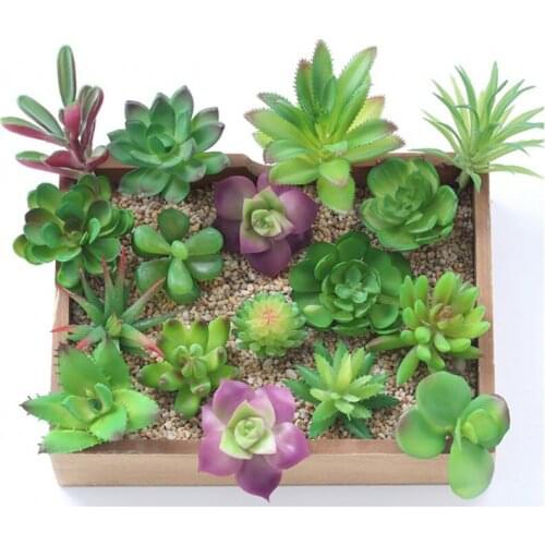 1PCS Mini Succulent plants palm bonsai local landscape artificial fleshiness Cactus plant decorative flower for table decoration