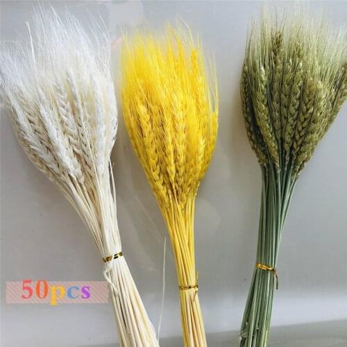 50pcs Real Wheat Ear Flower Natural Dried Flowers For Wedding Party Decoration DIY Craft Scrapbook Home Decor Wheat Bouquet