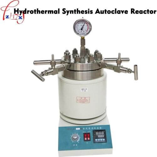 Hydrothermal Synthesis Autoclave Reactor 250ml tabletop high pressure stainless steel reaction kettle 1pc
