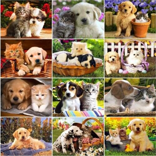 HUACAN Oil Painting By Numbers Dog Handpainted Modern Wall Art Pictures By Number Cat Animal Kits Unique Gifts