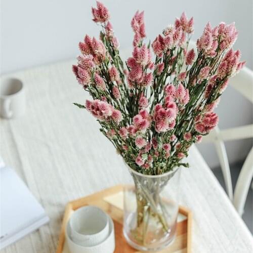 10pcs Dry Flowers Pink Decor Natural Dried Plants Ornaments For Living Room Table Outdoor Artificial Grass Home Decoration