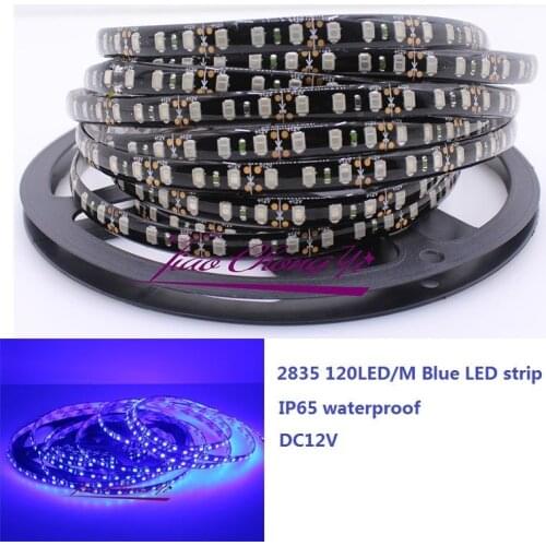 5M 2835 SMD 600Leds Blue Flexible LED Strip DC12V Black PCB IP65 waterproof