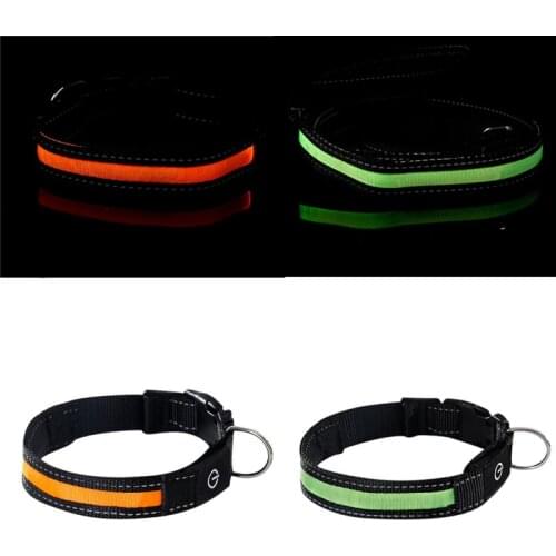 Personalized Dog Collar Reflective Night Safety Pet Leash LED Collar And Leash Strip To Keep You Your Dog Safe