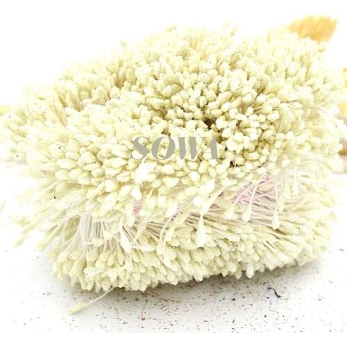Free Shipping hot sale 800pcs/lot 3mm Floral Glitter Stamen Pistil ivory Artificial Flower Stamen Cake Decorating Craft DIY