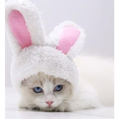 Autumn and Winter Adjustable Cat Hat White Rabbit Cute Warm Shu Velveteen Small and Medium Headgear Supplies