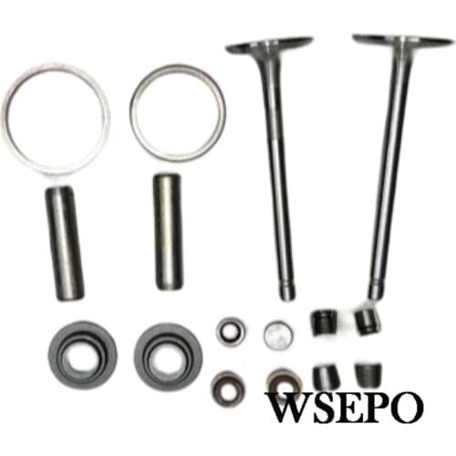 Top Quality! Valve 16PC Kit(incl. valve,seal,stainer etc) for 188F Air Cooled Diesel Engine, 6KW Diesel Generator Parts