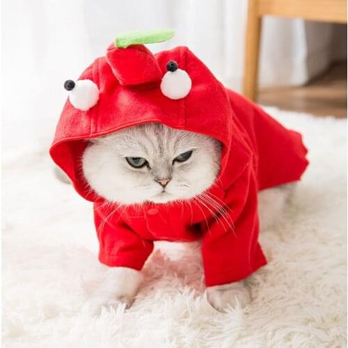 Cat Clothes Spring Clothes Funny Pepper Thin PET Costume Cute Custom Internet Celebrity Spring and Autumn Pet Clothing Supplies