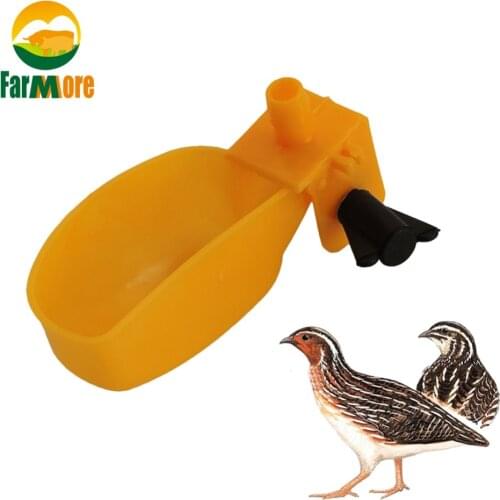 10Pcs Quail Automatic Drinking Piegon Duck Water Bowl Small Pet Bee Parrot Bird Quail Small Animal