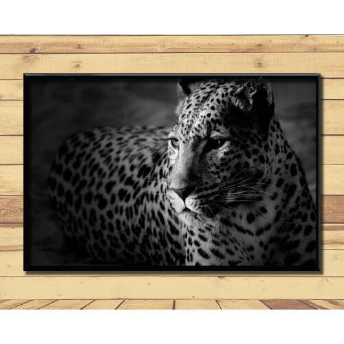 Jaguar Strong And Fast Land Animal (18) Wall Posters Prints Silk Art Painting For Home Wall Bedroom Decor