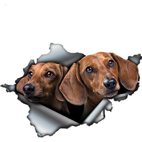 Dawasaru Tan Dachshund Torn Metal Car Sticker Waterproof Decal Laptop Suitcase Truck Motorcycle Auto Accessories PVC,13cm*8cm