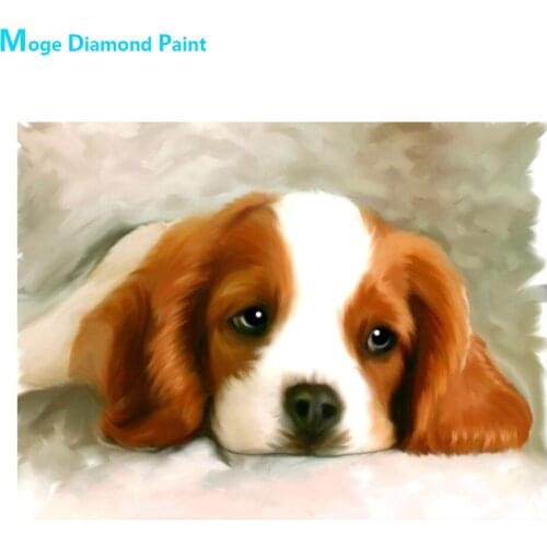 King Charles Spaniel Diamond Painting Animal Dog Round Full Drill Nouveaute DIY Mosaic Embroidery 5D Cross Stitch Home Decor