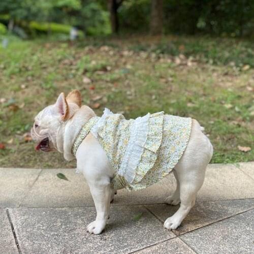 Female Dog Dress XS Summer Pet Clothes Schnauzer Pug French Bulldog Clothing Welsh Corgi Shiba Inu Frenchies Dog Costume Apparel