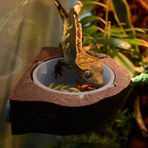 Plastic Durable Reptiles Pet Feeder Bowl Food Dish Suspension Type for Lizard Chameleon Bowl tools