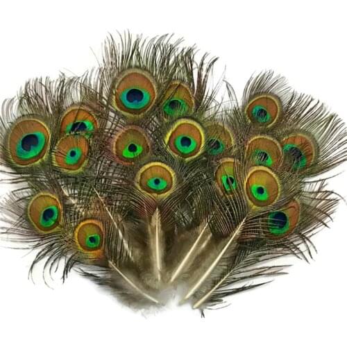 Natural Rare Small Peacock Feather Eye 5-10cm Peacock Feathers for Crafts Pheasant Feather for Jewelry Making Plume Decoration