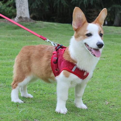 Adjustable Soft Breathable Dog Harness Reflective Traction Vest Harness for Dogs Puppy Collars Cat Pet Dog Chest Strap Leash