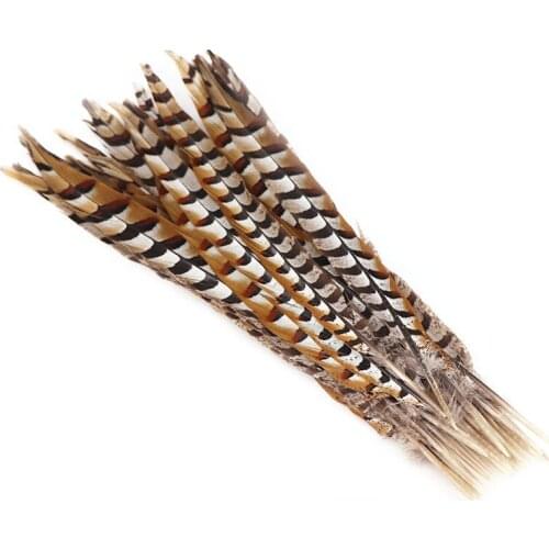 Natural Rare Pheasant Tail Feathers for Crafts 16-18inch Reeves Venery Pheasant Tail Feather Carnival Costumes Decoration Plumas