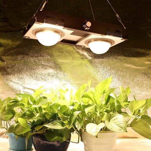 Dimmable CREE CXB3590 200W=HPS 1000W COB LED Grow Light DIY Module Full Spectrum LED Grow Lamp Indoor Plant With MEANWELL Driver