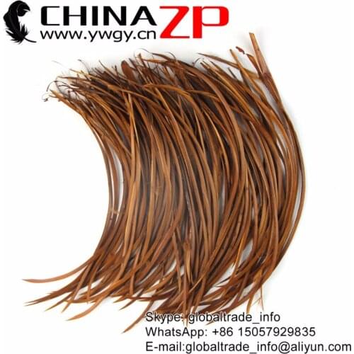 Wholesale from CHINAZP Feathers 200pieces/lot Size 20-25cm Selected Quality Dyed Brown Goose Biots Feathers Carnival Costume