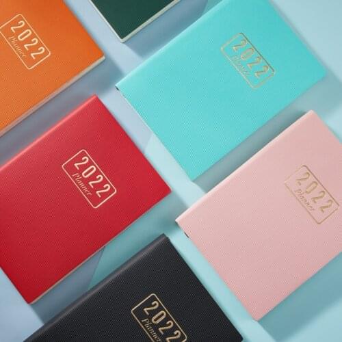 Hinweispipa Diaries-books