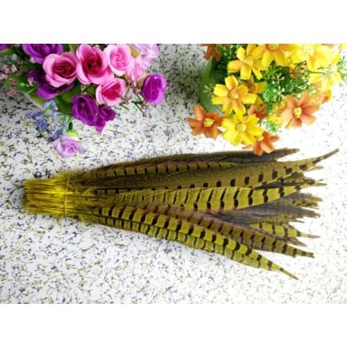 Wholesale perfect 10pcs high quality natural Male Pheasant feathers 14-16inch/35-40cm Decorative diy yellow