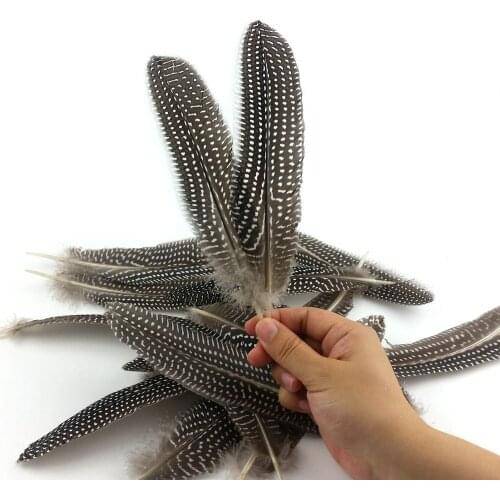 Low Price 10Pcs 15-20CM Beautiful Natural Pearl Chicken Spotted Feathers for Decoration DIY Crafts Pheasant Feathers Plumes