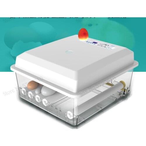 Universal Display Screen Electric Incubator Tortoise Automatic Home Multi-function Electronic Peacock Goose Egg Large And Small