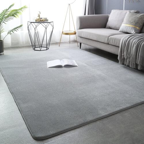 Washed Carpet Coral Fleece Living Room Coffee Table Bedroom Bedside Furry Carpets New Thicken Floor Rug Customizable Door Mat