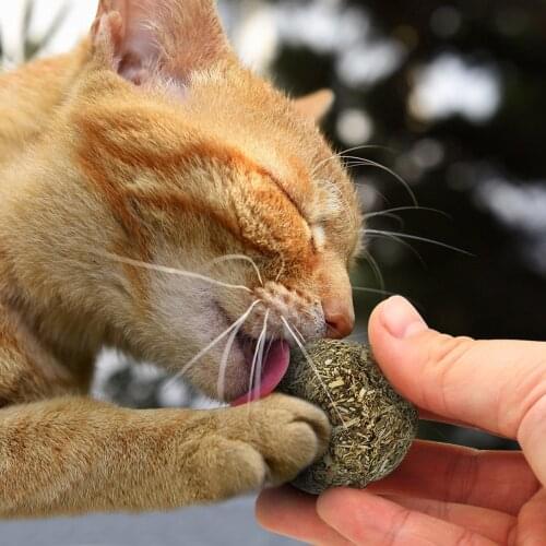Pet Cat Natural Catnip Treat Ball Favor Home Chasing Toys Healthy Safe Edible Treating