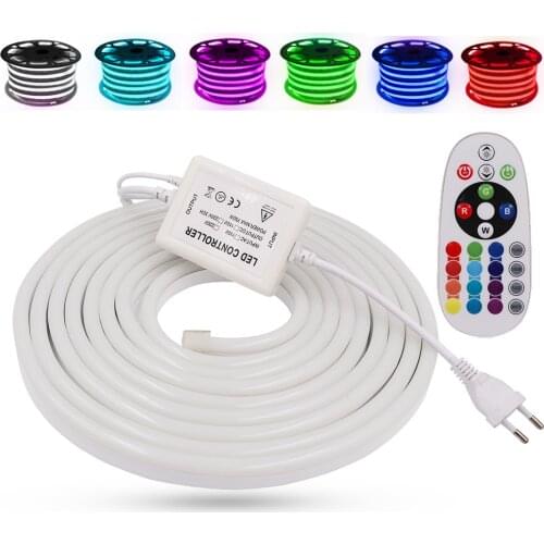 EU 220V RGB Neon Strip Light 5050 Ribbon Tape Flexible LED Neon Night Lamp 2835 120LEDs/m White/Warm White LED Strip