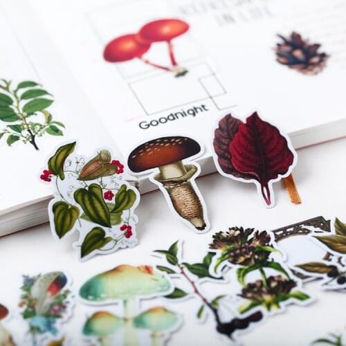 29pcs Handbill stickers Mori translucent cane this literary little fresh Handbill decorative tools in a corner of the forest