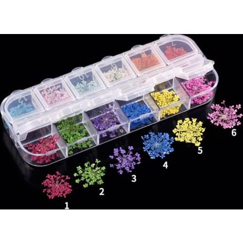 24Pcs Real Pressed Flower Annes Lace Dried Flower Nail Art Resin Jewelry Making