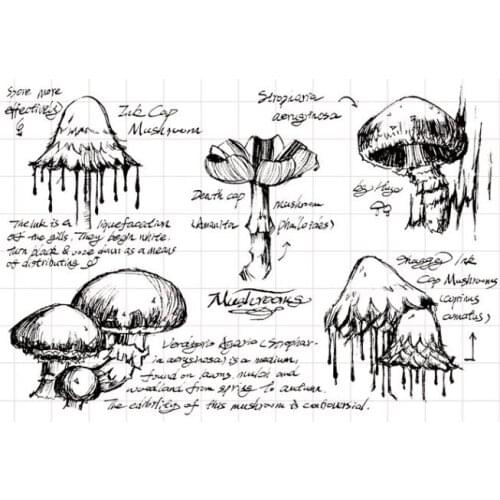 Mushroom Transparent Clear Silicone Stamp/Seal for DIY scrapbooking/photo album Decorative clear stamp A114