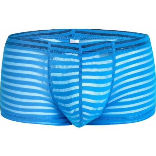 Transparent Sexy Boxer Men Erotic Ice Silk Mens Boxer Shorts Underwear Striped Pouch Bulge Durchsichtig Gay Member Lingerie