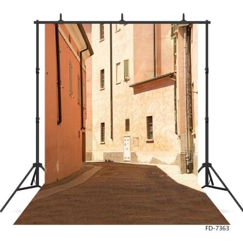 Village Building Pathway Photography Backdrops Vinyl Cloth Backgrounds for Photo Studio Children Baby Portrait Dolls Photophone