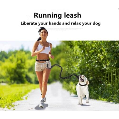2 in 1 Pet Dog Cat Running Jogging Adjustable Waist Belt Reflective Strip Elastic Leash Perfect Walking Training Dog Leash Set