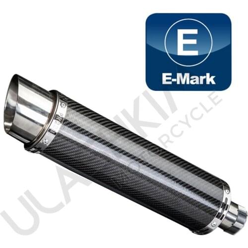 Motorcycle modified exhaust pipe carbon fiber exhaust FZ1 MT09 Z1000 SV650 exhaust pipe