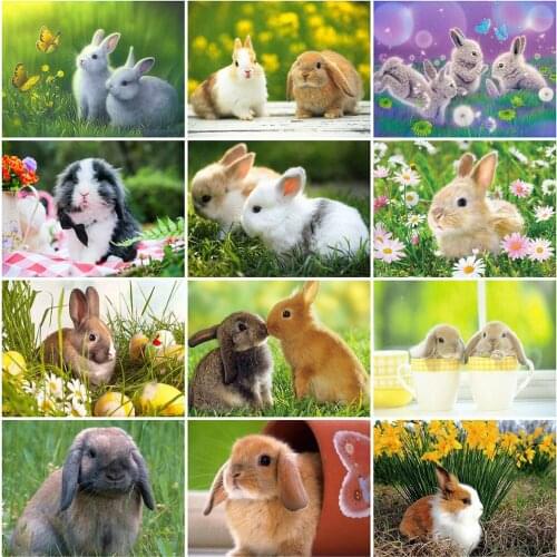 HUACAN 5D DIY Full Diamond Painting Rabbit Cross Stitch Diamond Embroidery Animal Rhinestones Diamond Mosaic Room Decoration
