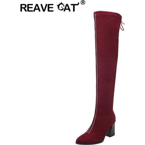 REAVE CAT Winter shoes women Over the knee boots Pointed toe Suede Thigh high heel square striped Zipper lace up Party shoes