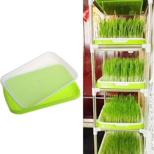 85WC Seed Sprouter Tray Double-layer Soilless Culture Seeds Hydroponic Nursery Tray