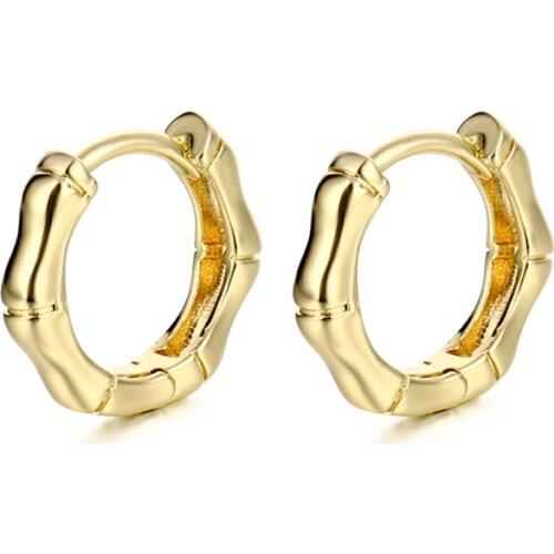 Fashion Simple Design small bamboo earrings Gold Geometric Hoop Huggie Earrings For Women Jewelry Wholesale 2021