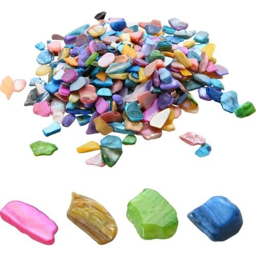 100g Colorful Shells DIY Crafts Mosaic Tiles Fragments Stylish Ornament for Vase Flowerpot Fish Tank