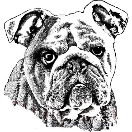 Dog Transparent Clear Stamps for D Clear Stamp Or stamp for DIY Scrapbooking Kids Fun Decoration Supplies A2049