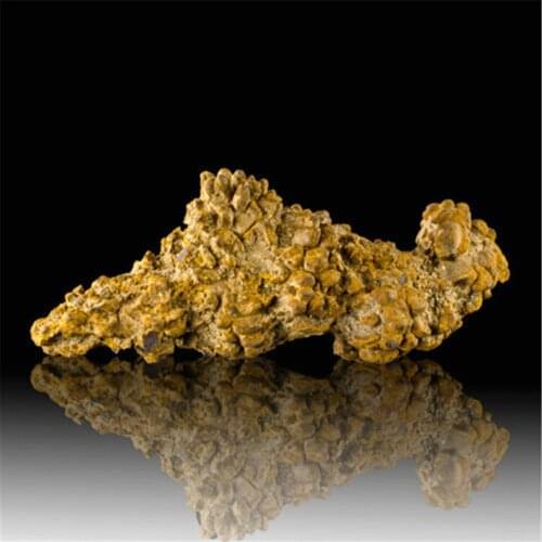 Rare Rare Coprolite Or Dinosaur Poopies Fossil Poop Feces Poo Dung Fossil Stones And Minerals Specimen