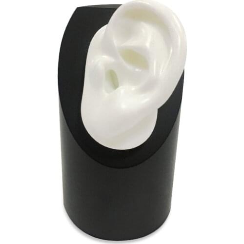 Hearing Aid Display with Silicone Ear Model for Hearing Aids IEM Jewelry Exhibition Demonstration