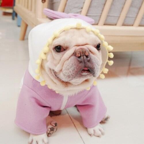 French Bulldog Clothes Winter Pug Clothing Cute Bowknot Dog Hoodie Coat Jacket Outfit Schnauzer Costume Warm Pet Apparel Garment