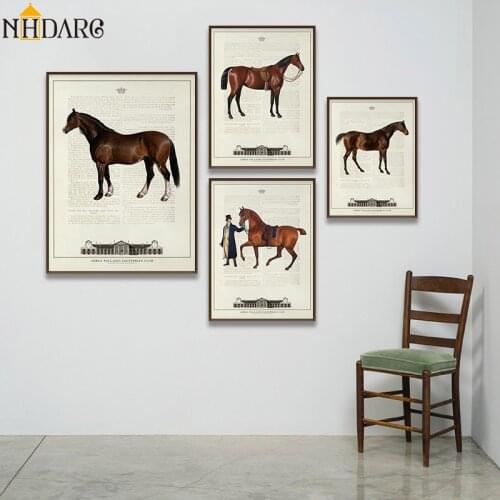 Vintage European Equestrian Club Steed Fine Horse Posters and Prints Canvas Painting Art Wall Picture for Living Room Home Decor