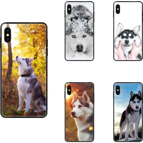 For Adults Black Soft TPU Phone Cover Case Sexy Siberian Husky Lovely Dog Pattern For Galaxy S5 S6 S7 S8 S9 S10 S10e S20 edge