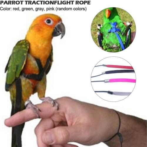 Parrot Bird Harness Leash Outdoor Flying Traction Straps Band Adjustable Anti-Bite Training Rope #Dropshipping