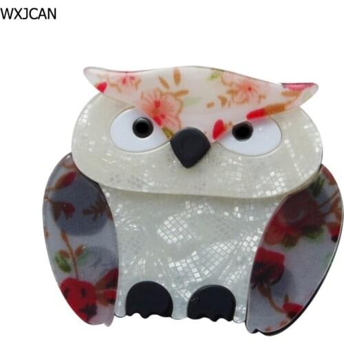 WXJCAN new owl bird acrylic brooch Vintage brooches female clothing accessories fashion jewelry Size 60mm*50mm